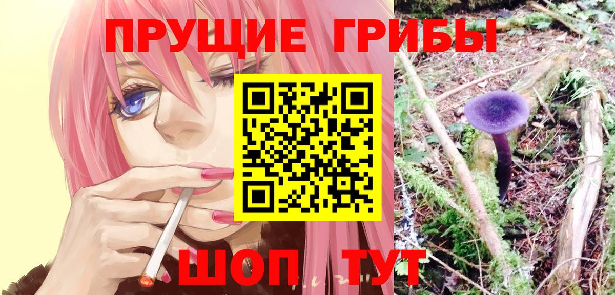 как найти наркотики  Галлюциногенные грибы ЛСД  Вход с VPN  Абакан 