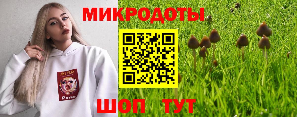 Галлюциногенные грибы Psilocybine cubensis Абакан